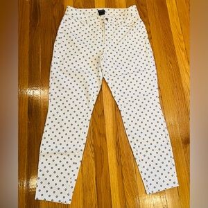 Ann Taylor Skinny Ankle Blue Jean Pant w Embroidered Blue Flowers, Size 8